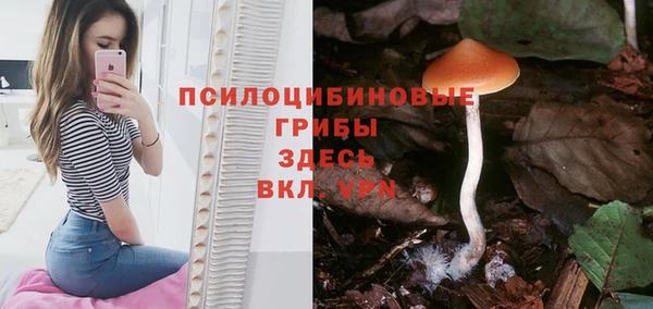 а пвп мука Майский