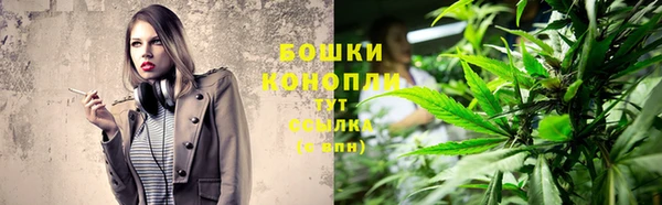 mdpv Великий Новгород