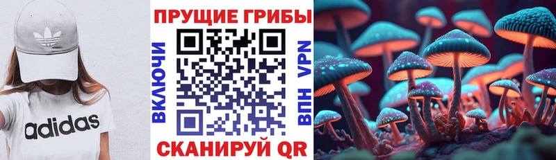 Псилоцибиновые грибы Psilocybine cubensis Набережные Челны