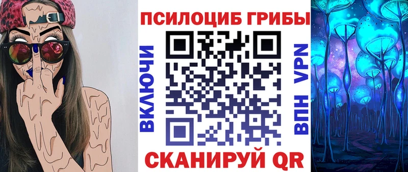продажа наркотиков  Набережные Челны  Псилоцибиновые грибы Psilocybe 
